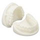 thumbnail image 5 of Modelo Dental, Corindón Blanco Resistencia A La Corrosión Simulación Educativa Modelo De Diente Blanco De Larga Duración Para Laboratorio Para Estomatólogos, 5 of 7
