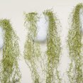 thumbnail image 1 of Dream Lifestyle Decorative Artificial Rattan Realistic Flexible Cut Free UV-resistant Wall Background Simulation Vine Home Decor, 1 of 7