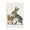 Spring Bunny Carrots, variant on Stupell Industries Traditional Bunny with Carrots Canvas Art, 16 x 24, by Petals Prints Design