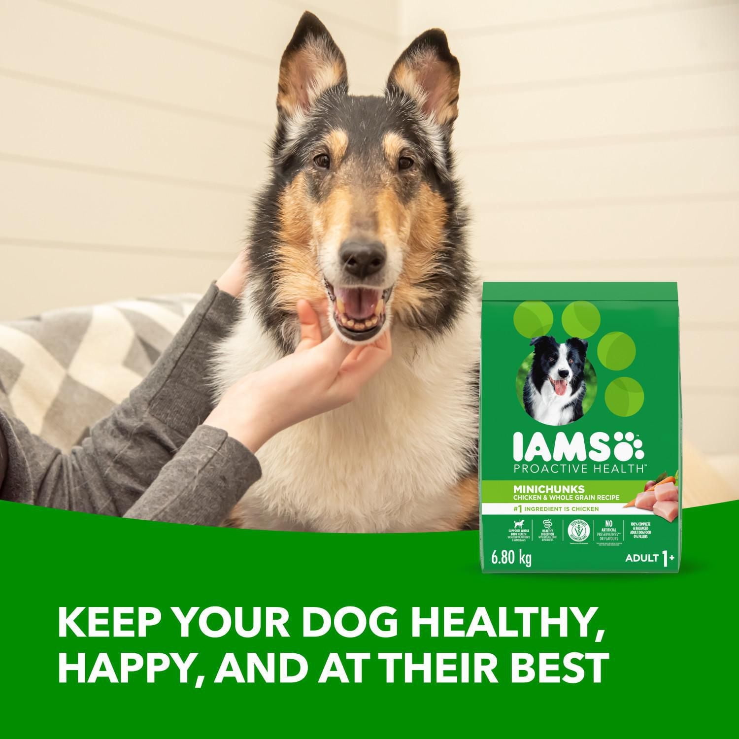 Iams Minichunks Adult Dry Dog Food Chicken & Whole Grains Recipe, 1.5-17.46kg