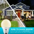 thumbnail image 2 of Luxrite A19 LED Dusk to Dawn Light Bulb Enclosed Fixture Rated 3000K Soft White 800 Lumens Damp Rated E26 6-Pack, 2 of 7