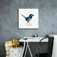 thumbnail image 4 of Epic Graffiti 'Bird Collection 21' by Ata Alishahi, Giclee Canvas Wall Art, 18"x18", 4 of 8
