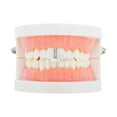 thumbnail image 2 of Unique Bargains 1 Pc Fake Grills Hip Hop Four Rhinestones Teeth Grillz Silver Tone, 2 of 6