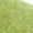 GREEN, variant on Clogger Indoor and Outdoor Slip On Slippers for Women | Wool Felt Upper, Real Suede Insole, Machine Washable, Decorative Buckle Strap, Comfortable Design