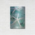 thumbnail image 3 of Luxe Metal Art 'Seaglass 1' by Alan Blaustein Metal Wall Art, 24"x36", 3 of 8