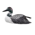 thumbnail image 1 of Loon, 1 of 1