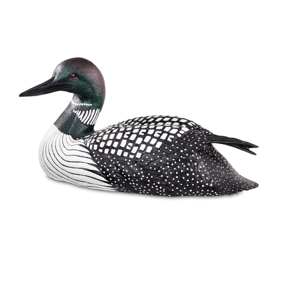 Loon