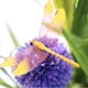 thumbnail image 2 of Toystoory 5 uds jardín libélula decoración modelo accesorios hogar insecto escultura Artware artesanía Prop jardinería simulación insectos Plantas Artificiales, 2 of 6