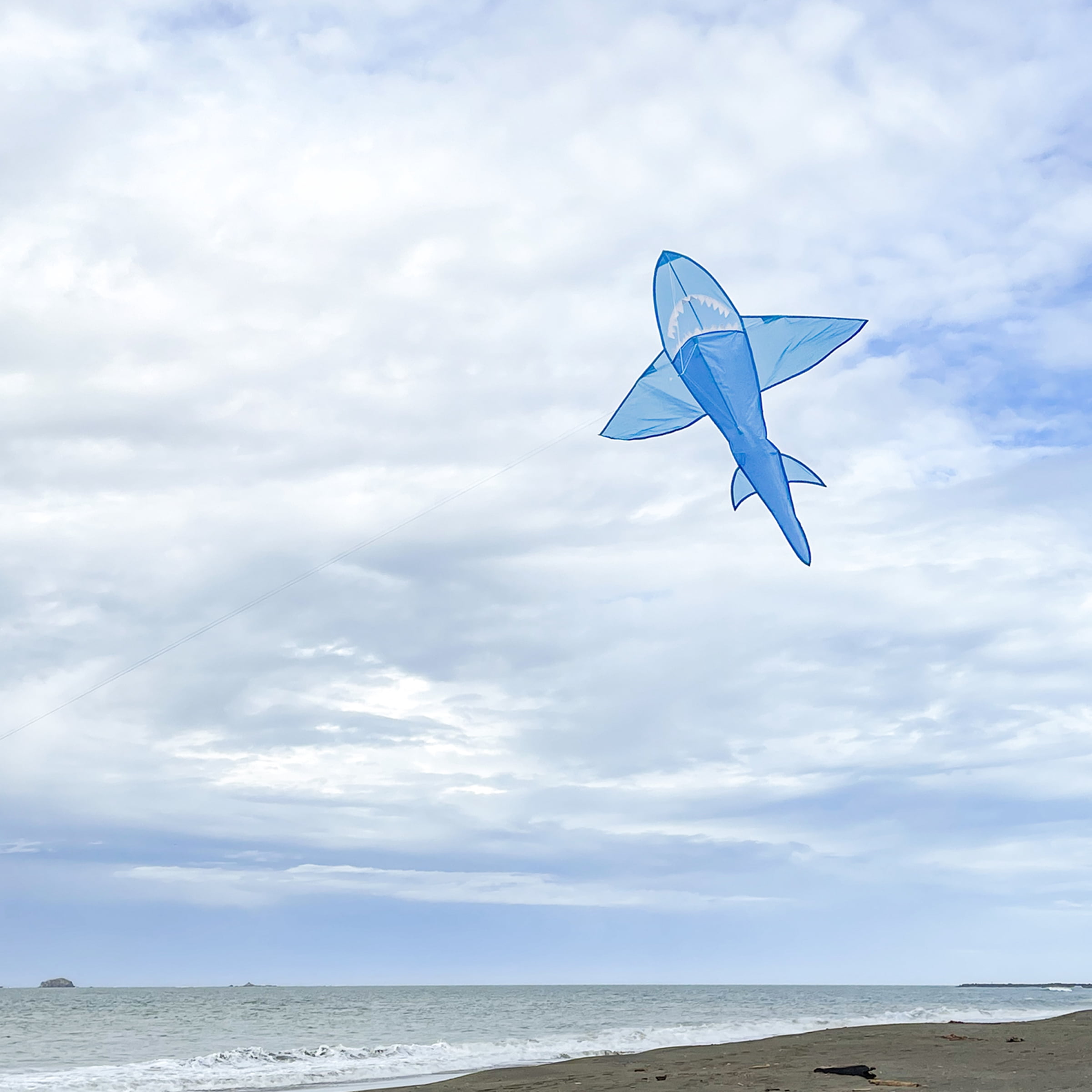 In the Breeze 3336 — 5' 3D Blue Shark Kite — Great Easy Flying Single-Line Kite for All Ages