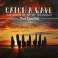 thumbnail image 1 of Attrapez une Vague (et Vous Êtes au Sommet du Monde) - Surf Essentials, 1 of 1