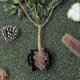 thumbnail image 5 of 10Pcs Reusable Plant Rooting Equipment Kit Cutting Grafting Rooting Box Branch Rooting Propagator Br, 5 of 5