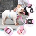 thumbnail image 4 of LAICAIW Gradient Color Dog Harness and Leash Set, Adjustable Lightweight Pet Products, Fashionable Comfortable no Pull Rope Set for Small&Medium Dog (Small Collar Harness Leash, Pink), 4 of 7