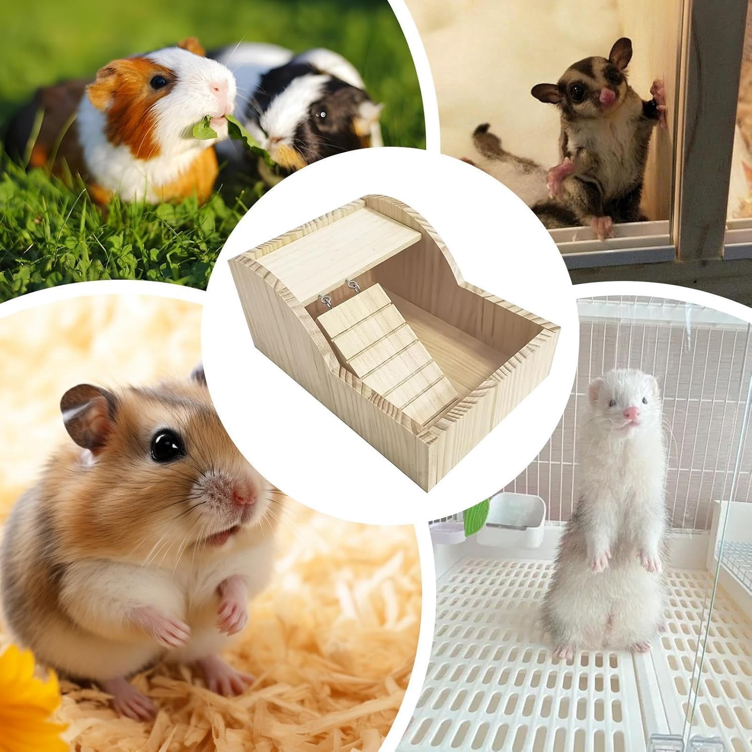 Hamster Sand Bath Container – Wooden Detachable Bathing Box, 5 x 8 x 11.6 Inch for Small Pets Hamsters Gerbils Chinchillas, Cage & Indoor Home Use
