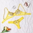 thumbnail image 2 of Ropa interior bordada transparente para mujer, lencería caliente, bragas íntimas, conjunto de dos piezas, amarillo, 2 of 5