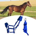 thumbnail image 4 of Brida de caballo Rienda Headstall Correas de cabestro Equipo ecuestre Arnés Guía de caballos Como se describe Zulema Riendas de caballo, 4 of 6