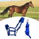 thumbnail image 4 of Cabezada De Caballo Rienda Cabestro Halter Cuerda De Conducción De Caballo M Tamaño Azul Sunnimix Riendas de caballo, 4 of 8