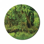 Rainforest Mouse Pad for Computers, Trees with Moss Natural Paradise Silence in the Wild Nature Relaxation Illustration, Round Non-Slip Thick Rubber Modern Mousepad, 8" Round, Green, by Ambesonne
