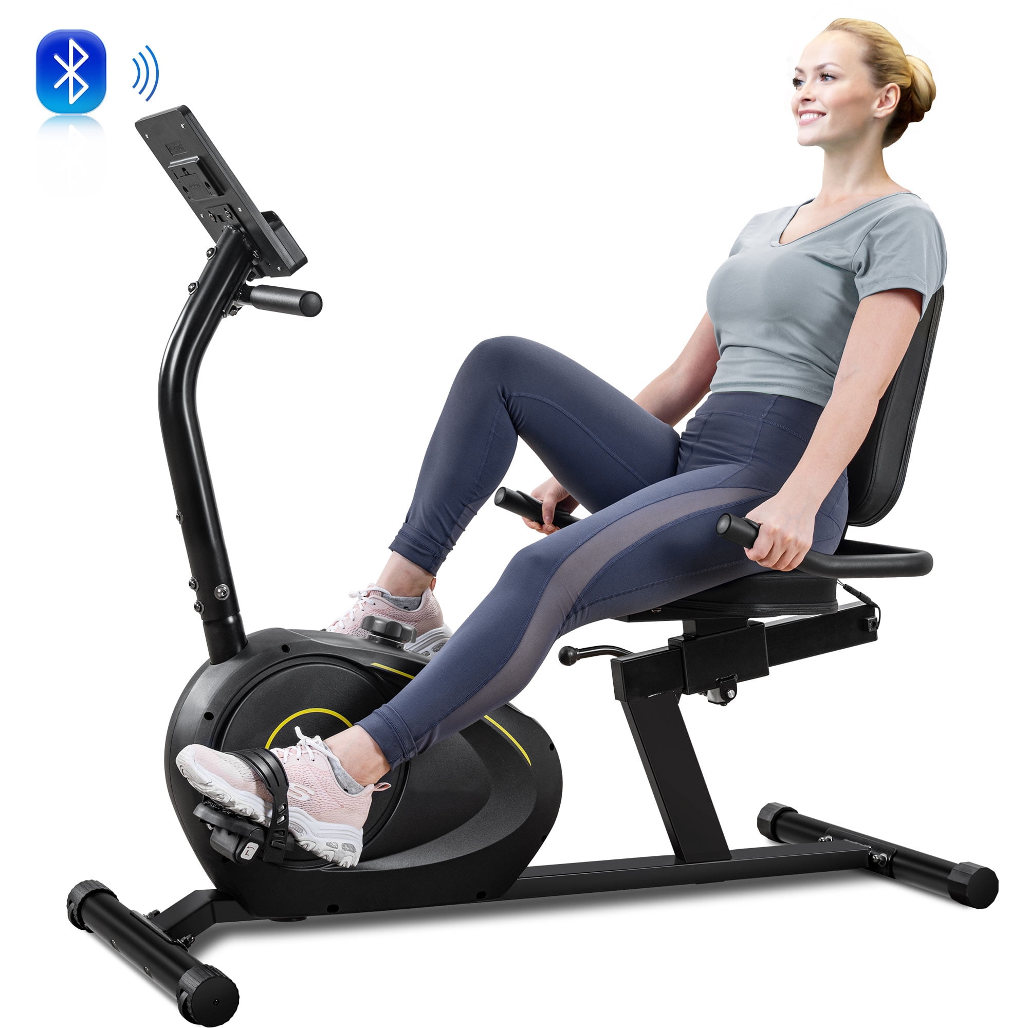 Indoor Exercise Bike, Recumbent Exercise Bike for Adults Seniors Workout and Physical Therapy