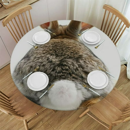 

Patifu Rabbit Round Table Cover Stain Resistant Washable for Indoor Outdoor Kitchen Dining Wedding Parties 100% Polyester with Elastic Edge Home Kitchen Outdoor Decoration 54 -58