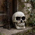 thumbnail image 4 of Garden Decor Resin Skull Key Storage Box, Hidden Key Holder with Skull Design, Waterproof Outdoor Key Storage Box, Creative Garden Decoration, Halloween-Inspired Resin Key Organizer, 4 of 6