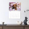 thumbnail image 3 of A Year of Dapper Dachshunds (Monthly Wall Calendar 2026 11.7 x 16.5 (open)), CALVENDO 14 Month Calendar, 3 of 9