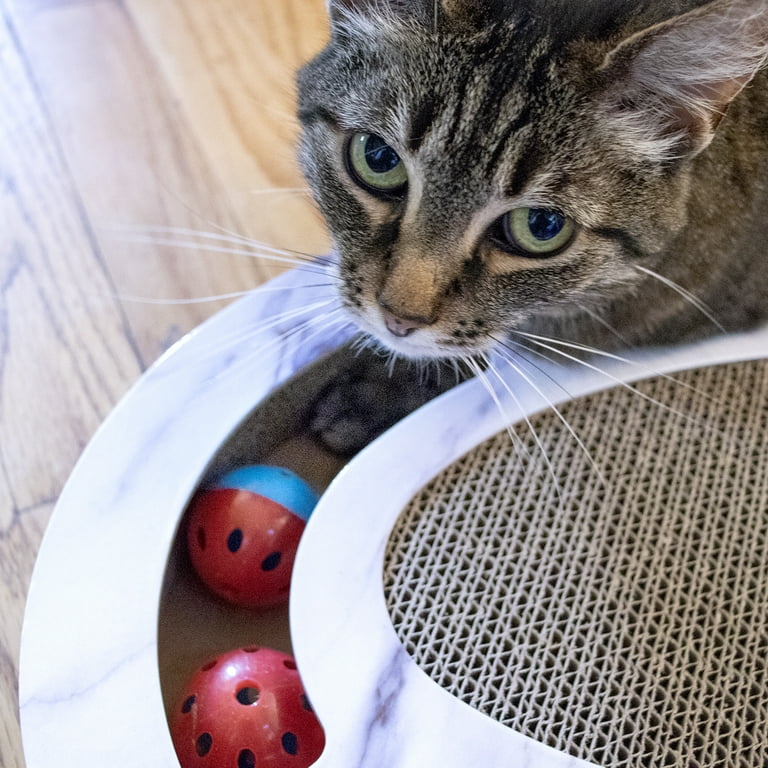 Best Cat Brush Reddit