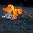 thumbnail image 4 of UPOUART  Pet Costume Orange Butterfly Wings For Dogs And Cats Photo Accessories 1 PCS, 4 of 7