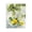Fresh Lemons Stilllife, variant on Stupell Industries Fresh Kitchen Lemons Spread Gray Framed Print Under Glass, design by Annabelle Hall