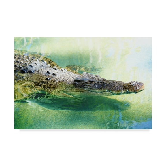 Trademark Fine Art 'Alligator In Water' Canvas Art by Incredi