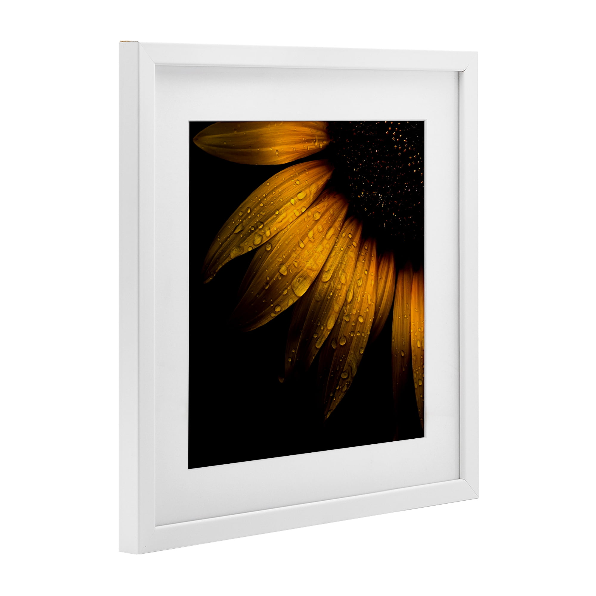 Sunflower Detail with Droplets White Framed Print Under Glass, design by Brian Carson Photography