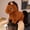 💖 Brown_Base#658, variant on Blaxill Plush Pony Horse Doll Year of the Horse Zodiac Decor | Imitation Stuffed Animal | Soft Cotton Material | 9 Inch Cuddly Toy | Home Office | Brown White | 1 Pc