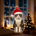 thumbnail image 5 of Dalxymotic Christmas Pet Acrylic Pendant, Christmas Acrylic Hanging Ornaments, Flat Printed Pet Pendant, Cute Ornament, Christmas Tree Decoration for Home, Mantel, Bookshelf, Desk, 5 of 8
