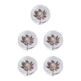 thumbnail image 2 of Maytalsory Exquisite Flower Crystal Ball Unlocking Inner Creativity Unique Astrantia 8cm 5Set, 2 of 6