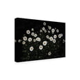 thumbnail image 2 of Trademark Fine Art 'Shasta Daisies' Canvas Art by Kurt Shaffer, 2 of 4