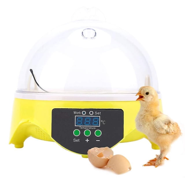 Incubadora automática de huevos, Incubadora automática de huevos Huevo digital inteligente oso de fresa Hogar