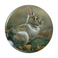 thumbnail image 1 of Cottontail Rabbit Bunny Pinback Button Pin, 1 of 5