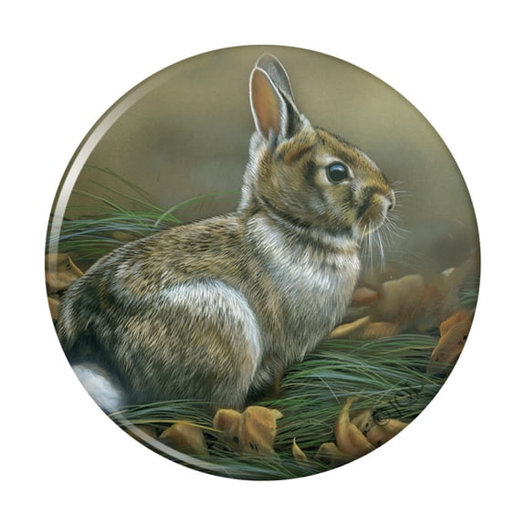 Cottontail Rabbit Bunny Pinback Button Pin