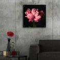 thumbnail image 5 of Epic Art 'Perfect Peony' by Leah McLean Acrylic Glass Wall Art, 24"x24", 5 of 8