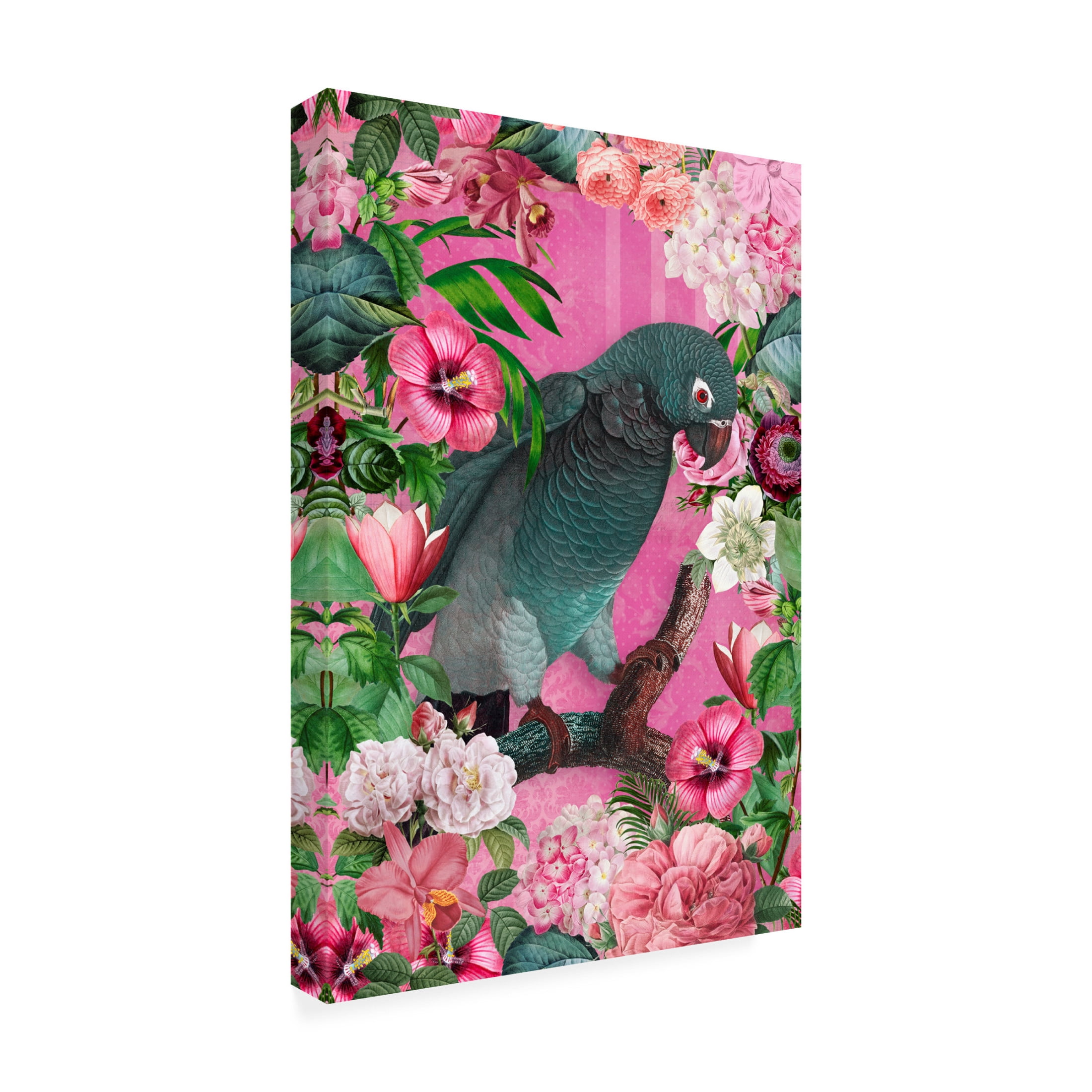 Trademark Fine Art Andrea Haase  The Parrots Paradise Garden 3 Canvas Wall Art