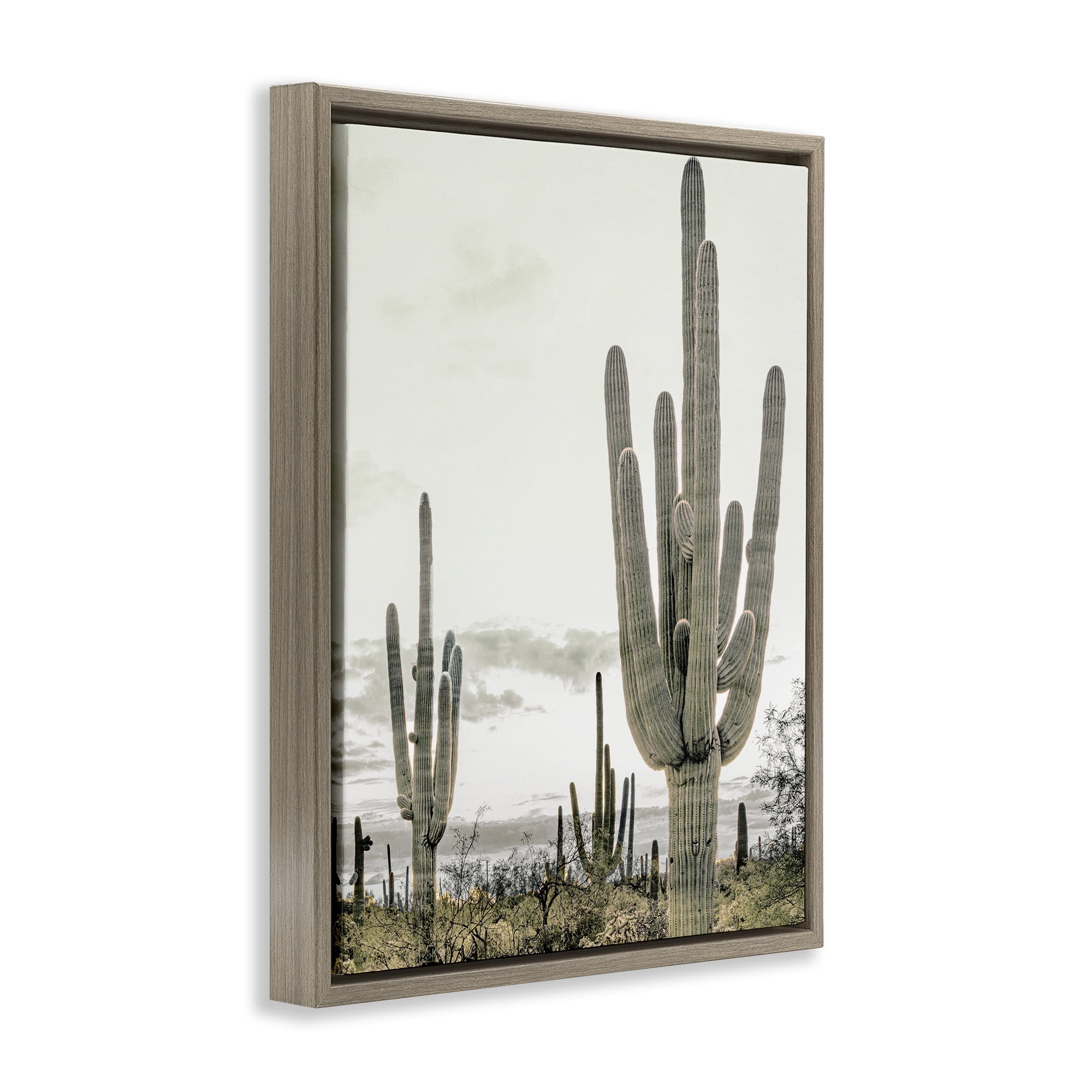Stupell Industries Subdued Desert Cacti Brown Framed Floater Canvas Wall Art, design by Kim Allen