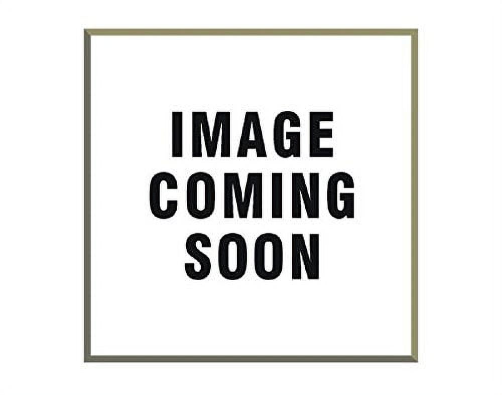 Pioneer FRA203 Flywheel Assembly
