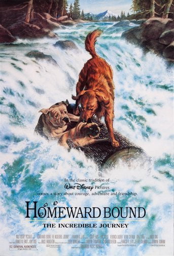 bound movie poster bound movie poster