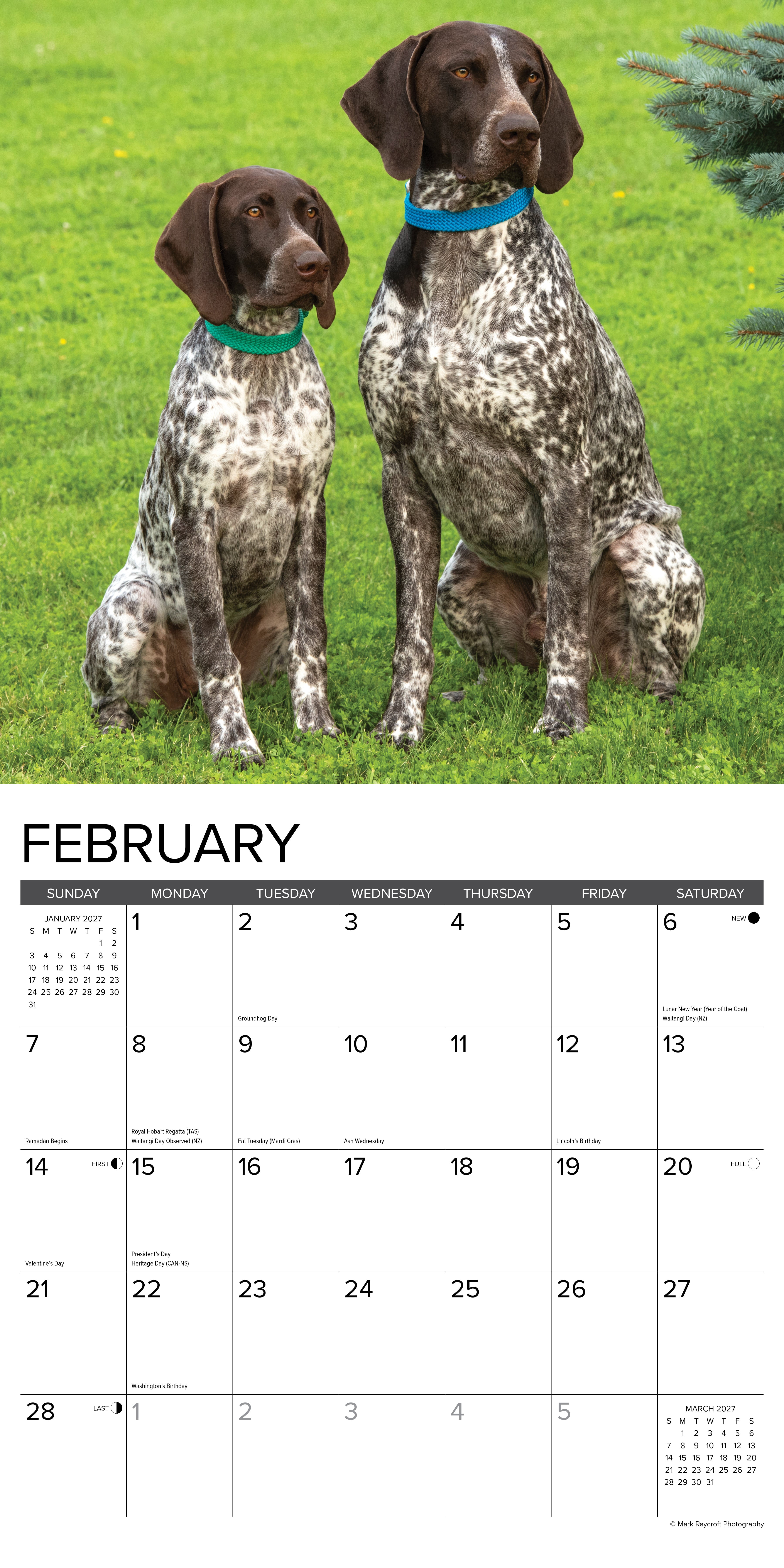Willow Creek Press, German Shorthaired Pointers 2027 Wall Calendar