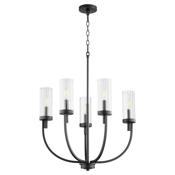 601-5-69 Quorum Lighting Ladin  - 5 Light Chandelier In Transitional Style-20.5 Inches Tall and 24 Inches Wide-Textured Black Finish    -Traditional