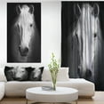 thumbnail image 3 of Designart 'White Horse Black and White ' Animal Canvas Art Print, 3 of 3