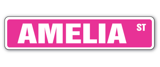 AMELIA Street Sign Childrens Name Room Decal Indoor//Outdoor