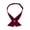 Wine Red, variant on Women Criss Cross Bow Tie Adjustable Criss Cross Neck Tie Pre Tied Necktie