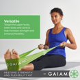thumbnail image 4 of Gaiam Restore Strength and Flexibility Kit Gaiam NA, 4 of 6