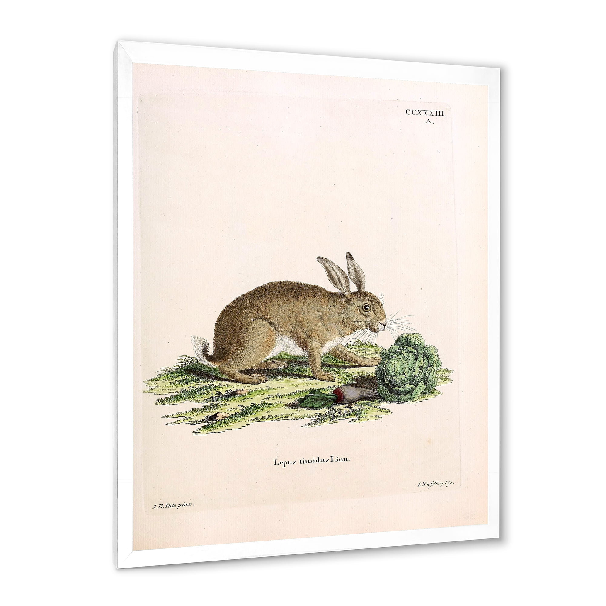 Designart 'Ancient Rabbits In Earth Tones' Farmhouse Framed Art Print