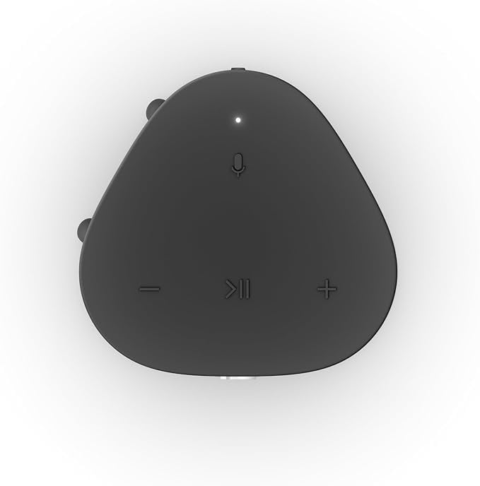 Pre-Owned Sonos Roam - Smart speaker - for portable use - Wi-Fi, App-controlled - 2-way - shadow black